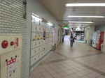 IMG_20250420_091619.jpg