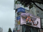 IMG_20250423_131138.jpg