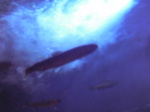 WATER4.JPG